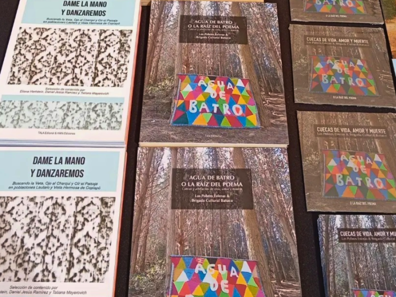 SEGUIMOS EN MOVIMIENTO: PRONTO EN LA 3RA FERIA MAUCHA DEL&nbsp;LIBRO